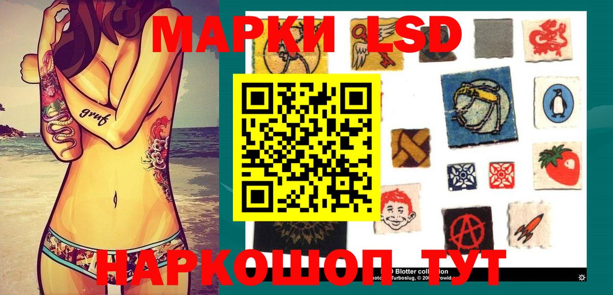 Наркотические марки 1500мкг  Наркотические марки 1500мкг  Вход с VPN  Камышлов 