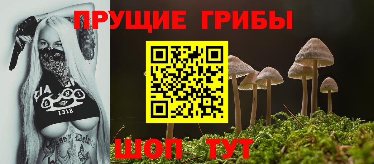 Камышлов  Псилоцибиновые грибы мухоморы  Галлюциногенные грибы ЛСД  Вход с VPN 
