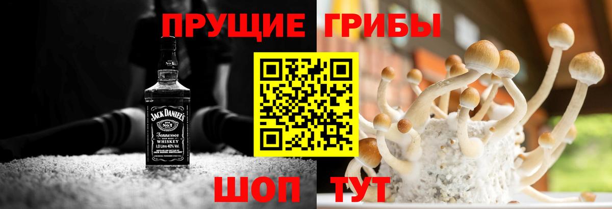 Псилоцибиновые грибы Magic Shrooms Камышлов