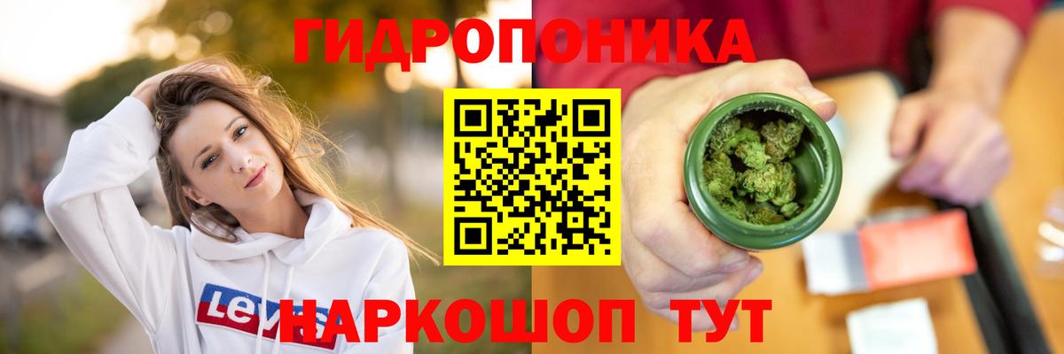 Бошки марихуана White Widow Камышлов